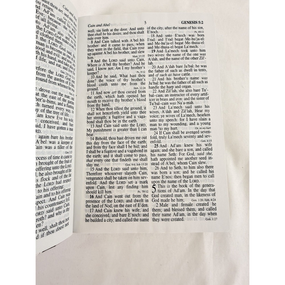 KJV Giant Print Reference Bible Pink Holman Hand Size King James Version - Picture 9 of 12